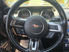 Used 2019  Ford Mustang 2d Convertible EcoBoost Premium at City Wide Auto Credit near Toledo&comma; OH