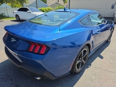 Used 2024  Ford Mustang EcoBoost Fastback at City Wide Auto Credit near Toledo&comma; OH