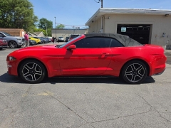 Used 2019  Ford Mustang 2d Convertible EcoBoost Premium at City Wide Auto Credit near Toledo&comma; OH