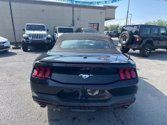 Used 2024  Ford Mustang EcoBoost Convertible at City Wide Auto Credit near Toledo&comma; OH