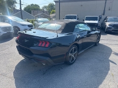 Used 2024  Ford Mustang EcoBoost Convertible at City Wide Auto Credit near Toledo&comma; OH