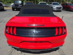 Used 2019  Ford Mustang 2d Convertible EcoBoost Premium at City Wide Auto Credit near Toledo&comma; OH