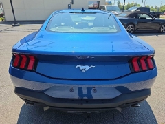 Used 2024  Ford Mustang EcoBoost Fastback at City Wide Auto Credit near Toledo&comma; OH