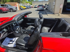 Used 2019  Ford Mustang 2d Convertible EcoBoost Premium at City Wide Auto Credit near Toledo&comma; OH