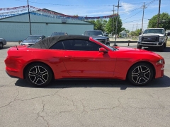 Used 2019  Ford Mustang 2d Convertible EcoBoost Premium at City Wide Auto Credit near Toledo&comma; OH