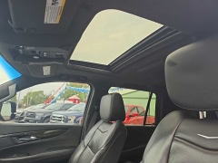 Used 2019  Cadillac Escalade 4d SUV 4WD Platinum at City Wide Auto Credit near Toledo&comma; OH