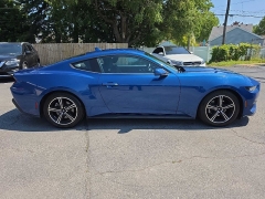Used 2024  Ford Mustang EcoBoost Fastback at City Wide Auto Credit near Toledo&comma; OH