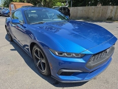 Used 2024  Ford Mustang EcoBoost Fastback at City Wide Auto Credit near Toledo&comma; OH