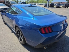 Used 2024  Ford Mustang EcoBoost Fastback at City Wide Auto Credit near Toledo&comma; OH