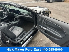 Used 2025  Ford Mustang EcoBoost Convertible at Drive Now Westlake near Westlake&comma; OH