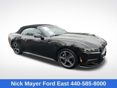 Used 2025  Ford Mustang EcoBoost Convertible at DriveNow Mayfield near Mayfield Heights&comma; OH