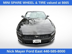 Used 2025  Ford Mustang EcoBoost Convertible at DriveNow Mayfield near Mayfield Heights&comma; OH