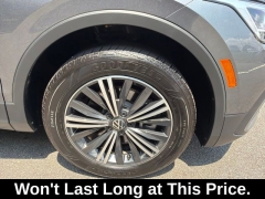 Used 2024  Volkswagen Tiguan 2&period;0T Wolfsburg Edition 4MOTION at DriveNow Mayfield near Mayfield Heights&comma; OH