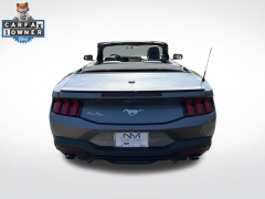 Used 2024  Ford Mustang EcoBoost Convertible at DriveNow Mayfield near Mayfield Heights&comma; OH