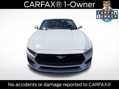 Used 2025  Ford Mustang EcoBoost Convertible at DriveNow Mayfield near Mayfield Heights&comma; OH