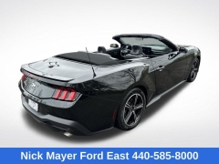 Used 2025  Ford Mustang EcoBoost Convertible at DriveNow Mayfield near Mayfield Heights&comma; OH