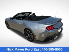 Used 2025  Ford Mustang EcoBoost Convertible at Drive Now Westlake near Westlake&comma; OH