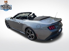 Used 2024  Ford Mustang EcoBoost Convertible at DriveNow Mayfield near Mayfield Heights&comma; OH