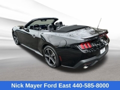 Used 2025  Ford Mustang EcoBoost Convertible at Drive Now Westlake near Westlake&comma; OH