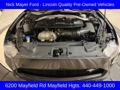 Used 2021 Ford Mustang GT Fastback at DriveNow Mayfield near Mayfield Heights, OH