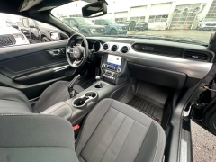 Used 2020  Ford Mustang GT Fastback at Drive Now Westlake near Westlake&comma; OH