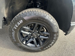 Used 2019  Chevrolet Silverado 1500 4WD Double Cab Custom Trail Boss at DriveNow Mayfield near Mayfield Heights&comma; OH