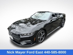 Used 2025  Ford Mustang EcoBoost Convertible at DriveNow Mayfield near Mayfield Heights&comma; OH