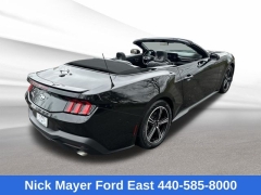 Used 2025  Ford Mustang EcoBoost Convertible at Drive Now Westlake near Westlake&comma; OH