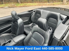 Used 2025  Ford Mustang EcoBoost Convertible at Drive Now Westlake near Westlake&comma; OH