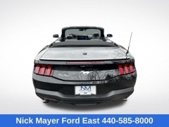 Used 2025  Ford Mustang EcoBoost Convertible at DriveNow Mayfield near Mayfield Heights&comma; OH