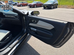 Used 2024  Ford Mustang EcoBoost Convertible at DriveNow Mayfield near Mayfield Heights&comma; OH