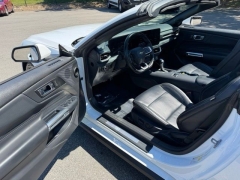 Used 2025  Ford Mustang EcoBoost Convertible at DriveNow Mayfield near Mayfield Heights&comma; OH