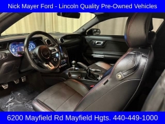 Used 2021 Ford Mustang GT Fastback at DriveNow Mayfield near Mayfield Heights, OH