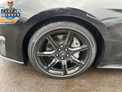 Used 2020  Ford Mustang GT Fastback at Drive Now Westlake near Westlake&comma; OH