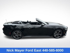 Used 2025  Ford Mustang EcoBoost Convertible at DriveNow Mayfield near Mayfield Heights&comma; OH