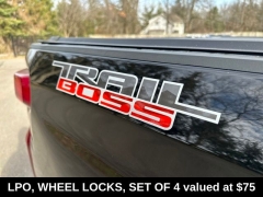Used 2019  Chevrolet Silverado 1500 4WD Double Cab Custom Trail Boss at DriveNow Mayfield near Mayfield Heights&comma; OH