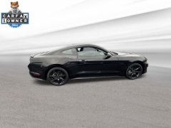 Used 2020  Ford Mustang GT Fastback at Drive Now Westlake near Westlake&comma; OH