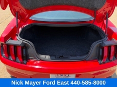 Used 2018  Ford Mustang GT Fastback at DriveNow Mayfield near Mayfield Heights&comma; OH