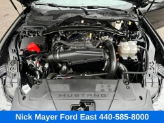 Used 2025  Ford Mustang EcoBoost Convertible at Drive Now Westlake near Westlake&comma; OH