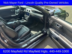 Used 2022 Ford Mustang GT Fastback at DriveNow Mayfield near Mayfield Heights, OH