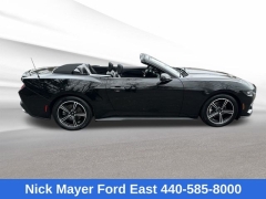 Used 2025  Ford Mustang EcoBoost Convertible at Drive Now Westlake near Westlake&comma; OH