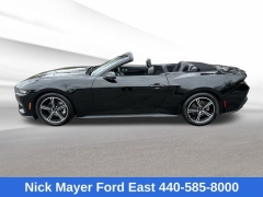 Used 2025  Ford Mustang EcoBoost Convertible at Drive Now Westlake near Westlake&comma; OH