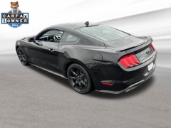 Used 2020  Ford Mustang GT Fastback at Drive Now Westlake near Westlake&comma; OH