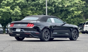 Used 2023 Ford Mustang EcoBoost Premium Convertible at Auto Direct near Zebulon, NC