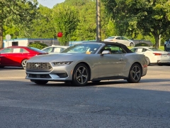 Used 2024  Ford Mustang EcoBoost Premium Convertible at Auto Direct near Zebulon&comma; NC