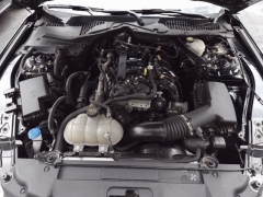 Used 2023 Ford Mustang EcoBoost Premium Convertible at Auto Direct near Zebulon, NC