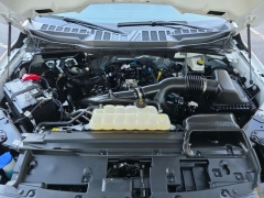 Used 2025  Ford F-150 2WD XLT SuperCrew 5&period;5' Box at Auto Direct near Zebulon&comma; NC