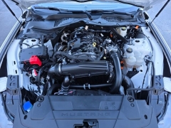 Used 2024  Ford Mustang EcoBoost Premium Convertible at Auto Direct near Zebulon&comma; NC