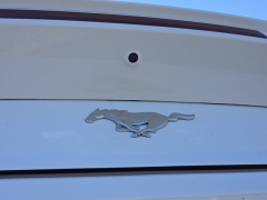 Used 2024  Ford Mustang EcoBoost Premium Convertible at Auto Direct near Zebulon&comma; NC