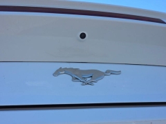 Used 2024  Ford Mustang EcoBoost Premium Convertible at Auto Direct near Zebulon&comma; NC